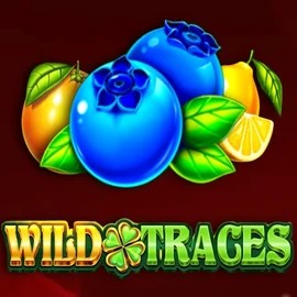 Enjoy Wild Traces by Amusnet Interactive – logo hosted on telbets.eu